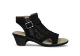 Taylor - Black